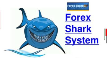 Revisió de Forex Shark